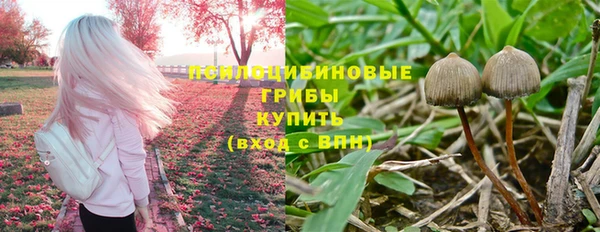 амф Беломорск