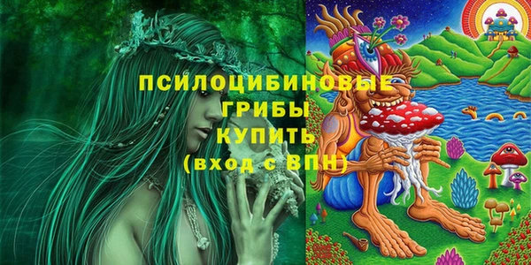 амф Беломорск