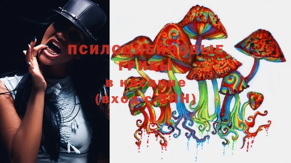 мескалин Белокуриха