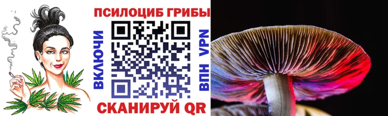 hydra как зайти  мориарти как зайти  Галлюциногенные грибы GOLDEN TEACHER  Сковородино 