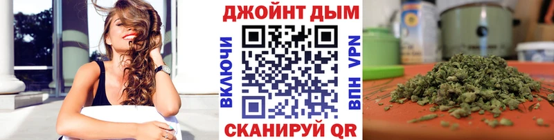 Бошки Шишки планчик Сковородино